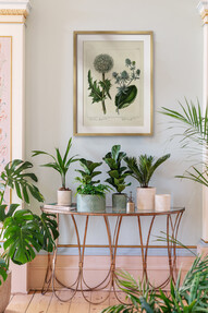 https://az.prshots.de/contents/archives/3698/1568/images/thumb350x287_auto/ivyline-kew-stoneware-sago-palm-planters-in-ivory-olive-17.99-29_44fa2_thumb.jpg