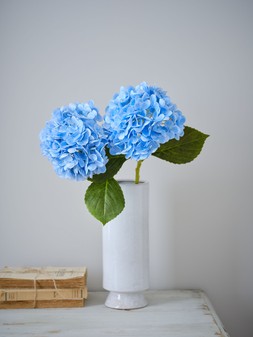 Light Blue Real Touch Hydrangea 49cm £6.50