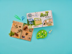 My Living World Ant World Kit £16
