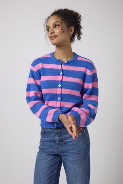 Blue with Pink Stripe Cardigan