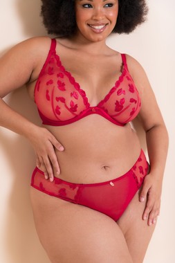 PUCKER UP DEEP LIPSTICK RED PLUNGE BRA £32 €48 & BRAZILIAN BRIEF £16 €25