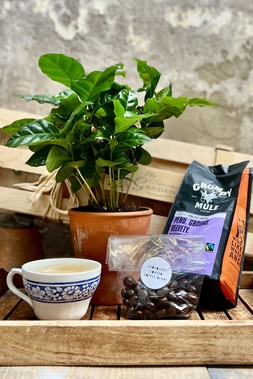 The Coffee Lover's Hamper