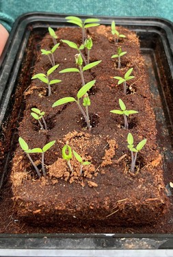 Growbar general