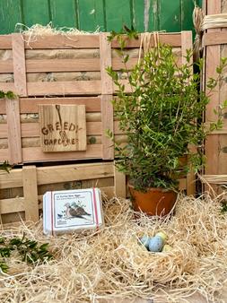 The Lovebirds Crate