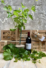 https://az.prshots.de/contents/archives/4061/1655/images/thumb350x287_auto/the-gluttonous-gardener-img-6511_thumb.jpg