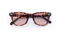 DUNCAN DARK TORTOISE Lenses Blush