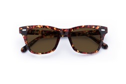 DUNCAN DARK TORTOISE Lenses Brown