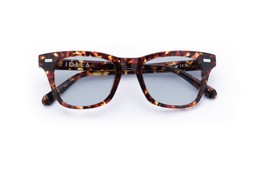 DUNCAN DARK TORTOISE Lenses Glacier