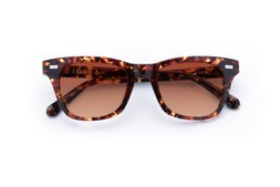 DUNCAN DARK TORTOISE Lenses Sienna Sunset