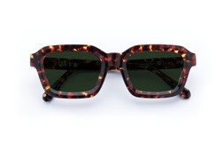 FINLAY DARK TORTOISE Lenses Green