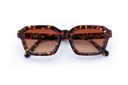 FINLAY DARK TORTOISE Lenses Sienna Sunset