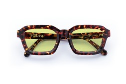 FINLAY DARK TORTOISE Lenses Sunbeam