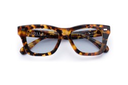 FORBES CARAMEL TORTOISE Lenses Glacier