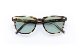 HOY OLIVE STRIPE Lenses Seabreeze