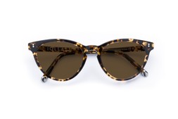 Muir Classic Tortoise Lenses Brown £85