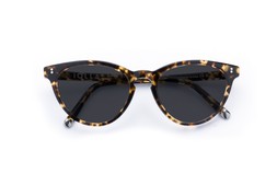 Muir Classic Tortoise Lenses Grey £85