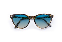 Muir Classic Tortoise Lenses Ocean Glow £85