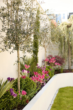 Oriana B, Plants, Sculptural Garden Project