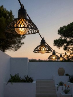 WRF21 The Very Collection Cage String Lights £26 (2)