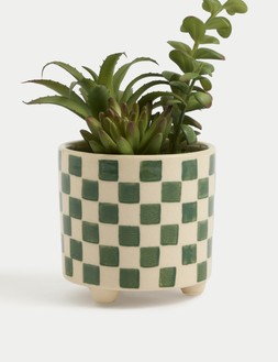 M&S SUCCULENT IN CERAMIC CHECKERBOARD POT £12.50